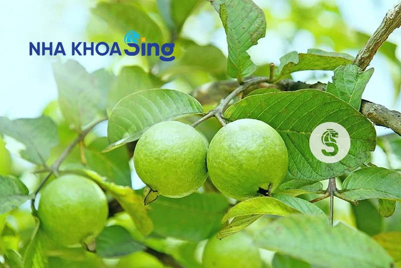 e-buot-rang-3