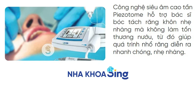 nho-rang-sau-bao-nhieu-tien-2