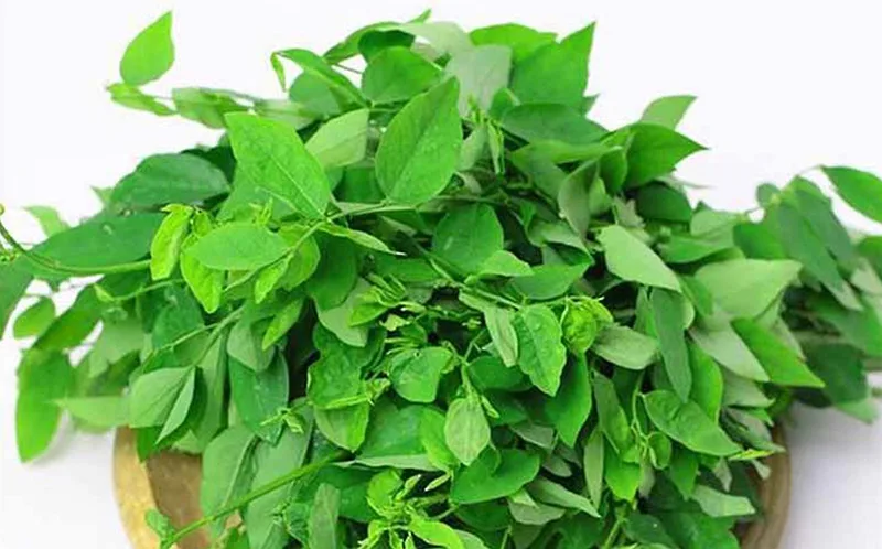 cach-lam-sach-luoi-bi-trang-2