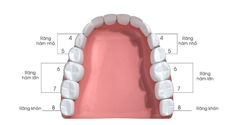 rang-so-6-1