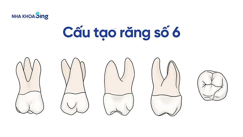 rang-so-6-2