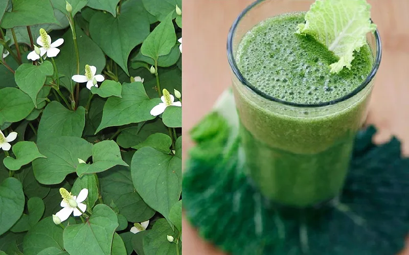 nhiet-mieng-1
